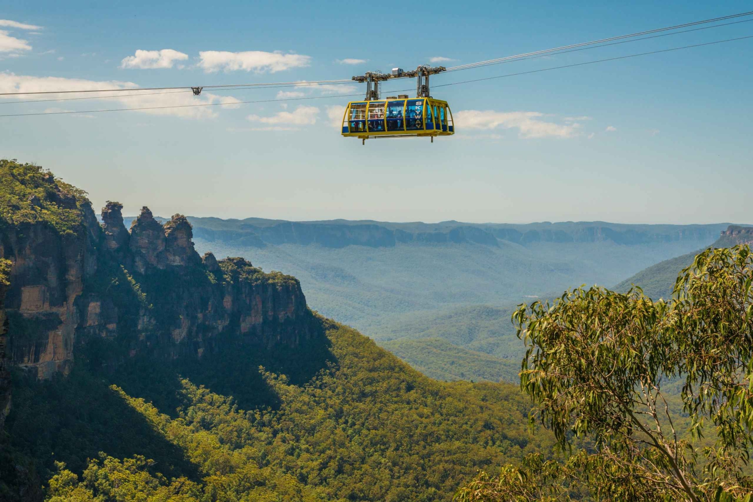 Tour delle Blue Mountains con pranzo: Scenic World, zoo e foto con il koala