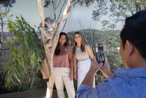 Tour delle Blue Mountains con pranzo: Scenic World, zoo e foto con il koala