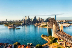 Tour delle Blue Mountains con pranzo: Scenic World, zoo e foto con il koala