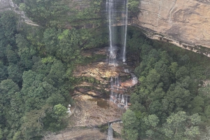 Tour delle Blue Mountains con pranzo: Scenic World, zoo e foto con il koala
