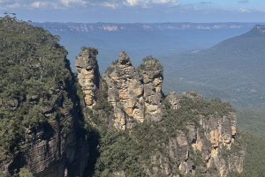 Tour delle Blue Mountains con pranzo: Scenic World, zoo e foto con il koala