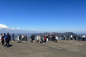 Tour delle Blue Mountains con pranzo: Scenic World, zoo e foto con il koala