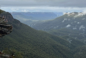 Tour delle Blue Mountains con pranzo: Scenic World, zoo e foto con il koala