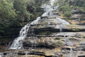 Tour delle Blue Mountains con pranzo: Scenic World, zoo e foto con il koala