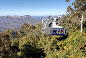 Tour delle Blue Mountains con pranzo: Scenic World, zoo e foto con il koala