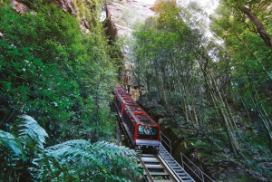 Tour delle Blue Mountains con pranzo: Scenic World, zoo e foto con il koala