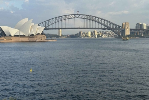 Tour delle Blue Mountains con pranzo: Scenic World, zoo e foto con il koala