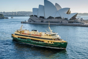 Tour delle Blue Mountains con pranzo: Scenic World, zoo e foto con il koala