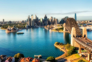 Tour delle Blue Mountains con pranzo: Scenic World, zoo e foto con il koala