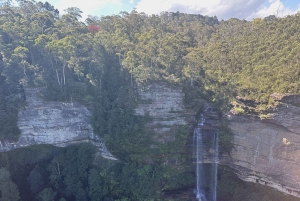 Tour delle Blue Mountains con pranzo: Scenic World, zoo e foto con il koala