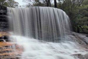 Sydney: Blue Mountains National Park Tour with River Cruise