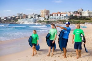 Sydney: 2-timers surfetime for alle nivåer på Bondi Beach