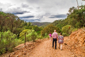 From Sydney: Off-Road Full-Day Wildlife Tour with Meals