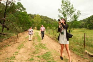 From Sydney: Off-Road Full-Day Wildlife Tour with Meals