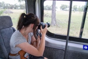 From Sydney: Off-Road Full-Day Wildlife Tour with Meals