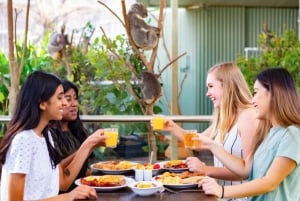 Breakfast with Koalas at WILD LIFE Zoo Darling Harbour