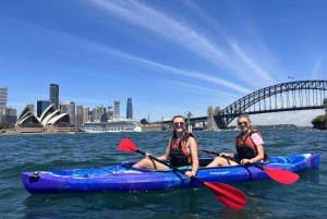 Sydney: Geführte Kajaktour durch Opernhaus und Hafen