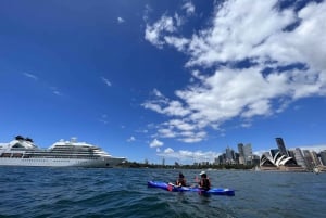 Sydney: Tour guidato dell'Opera House e del porto in kayak