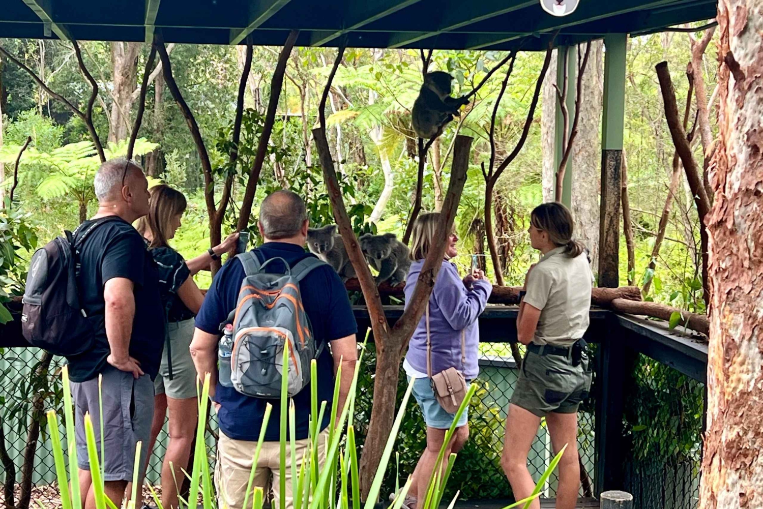 Rundtur på Centralkusten