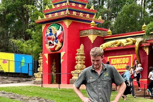 Rundtur på Centralkusten