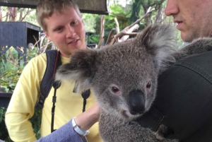 Rundtur på Centralkusten
