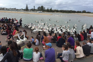 Rundtur på Centralkusten