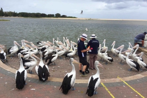 Rundtur på Centralkusten