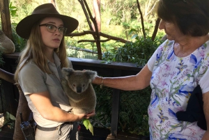 Rundtur på Centralkusten
