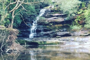 Rundtur på Centralkusten