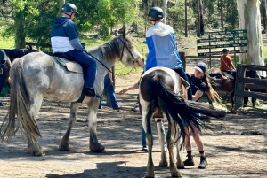 Rundtur på Centralkusten