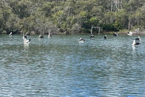 Rundtur på Centralkusten