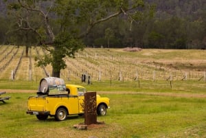 Visite culinaire et vinicole de la vallée de Hunter sous la conduite d'un chef cuisinier, au départ de Sydney
