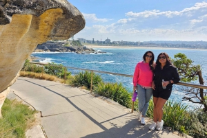 Tour gastronómico por las playas de Sídney y Aussie guiado por un chef