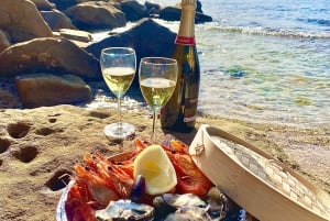 Tour gastronómico por las playas de Sídney y Aussie guiado por un chef