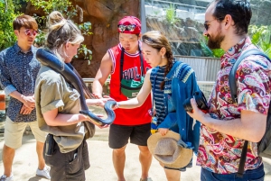 Karnet Combo na atrakcje: Sydney Tower Eye, Sea Life i więcej