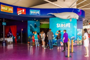 Combo attractiepas: Sydney Tower Eye, Sea Life & meer
