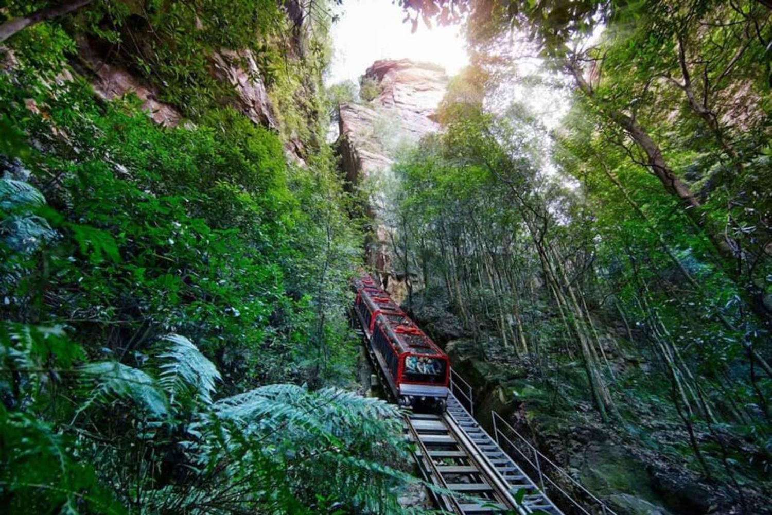 Kombination: Blue Mountain Tour + Sydney Hop på-/hop af-bustur billet