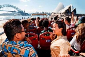 Kombi: Blue Mountain Tour + Sydney Hop-On/Hop-Off-Bustour Ticket