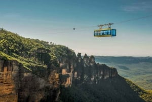 Kombi: Blue Mountain Tour + Sydney Hop-On/Hop-Off-Bustour Ticket