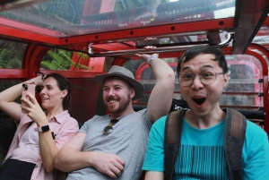 Kombination: Blue Mountain Tour + Sydney Hop på-/hop af-bustur billet