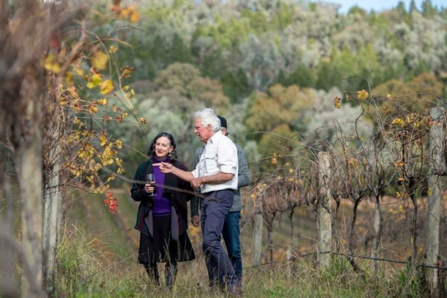 Kombination: Hunter Valley Tour + Sydney Hop på-/hop af-bustur billet