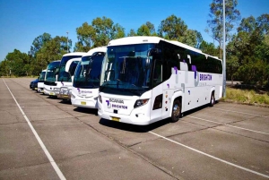 Kombinasjon: Hunter Valley-tur + Sydney Hop-on-Hop-off-bussbillett