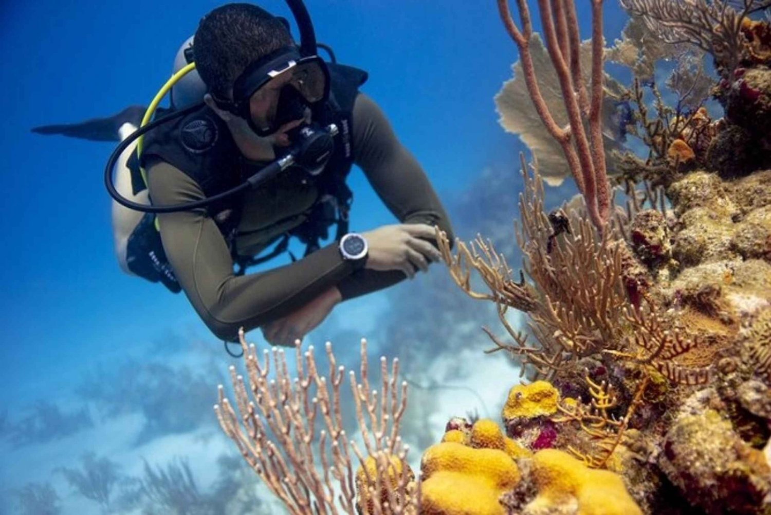 Upptäck dykning vid Australiens mest ikoniska strand