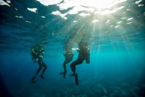 Upptäck dykning vid Australiens mest ikoniska strand