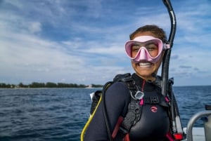 Scopri le immersioni subacquee nella spiaggia più iconica dell'Australia