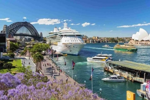 Descubra Sydney - excursão a pé particular