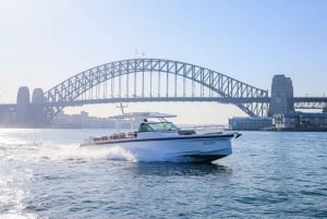 Discover Sydney's Heart: Walking Tour & Harbour Cruise