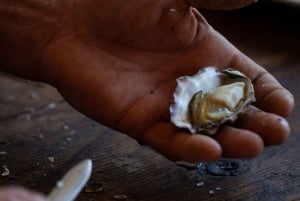 Farm to Plate - Sydney's Oyster Heartland