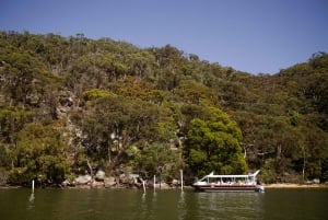 Farm to Plate - Sydney's Oyster Heartland