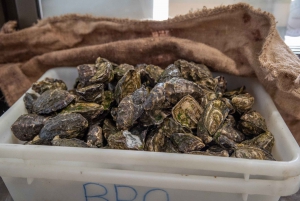 Farm to Plate - Sydney's Oyster Heartland